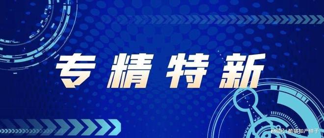 “专精特新”企业：怎么看？怎么办？_专精特新的理解