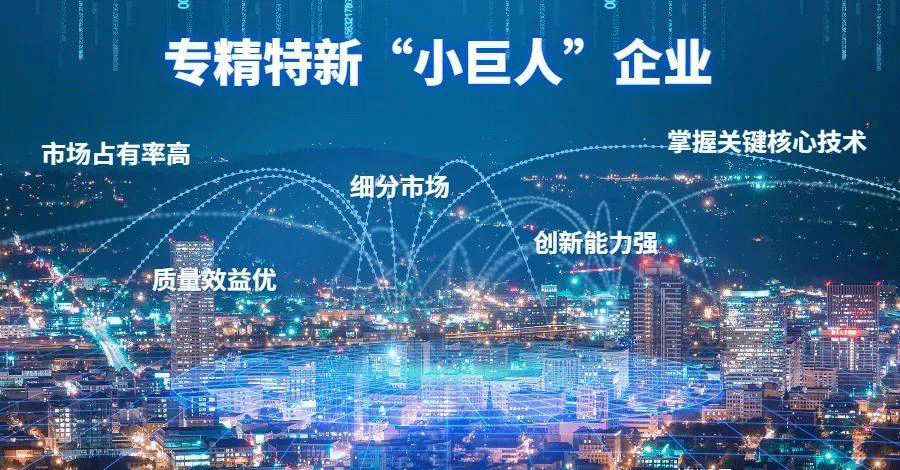 重庆市市级专精特新申报条件_市级专精特新认定要求