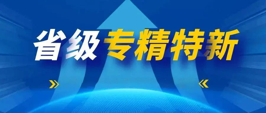 国家级专精特新和省级专精特新有什么区别(国家级和省级专精特新认定区别在哪)