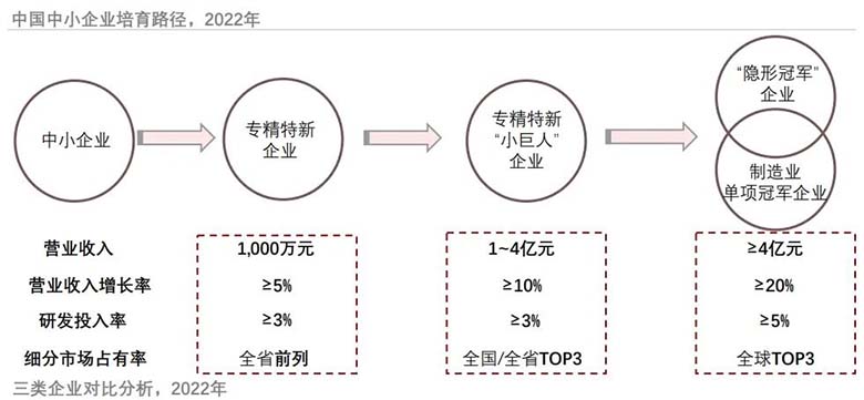 专精特新“小巨人”企业全景分析