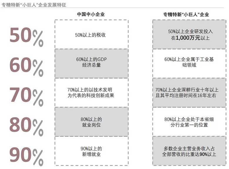 专精特新“小巨人”企业全景分析