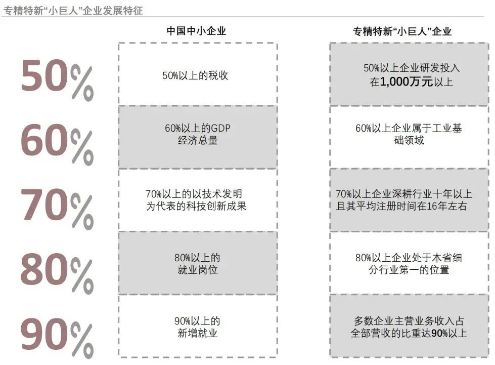 “专精特新”小巨人企业深度分析